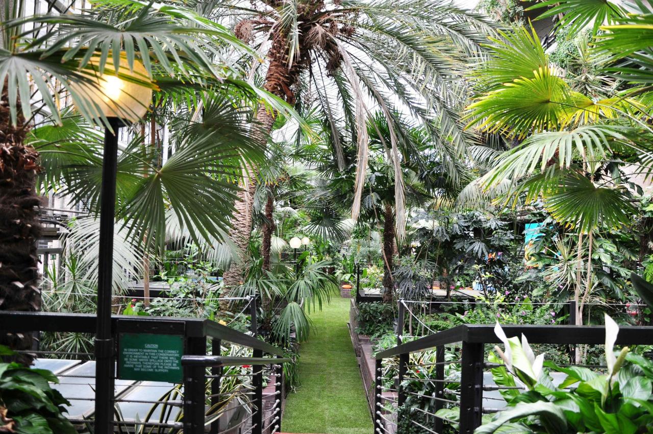 Barbican conservatory london worth